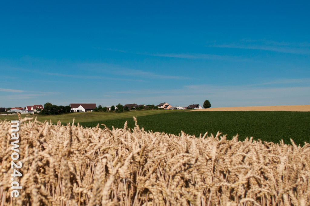 Eine Pause im Kornfeld